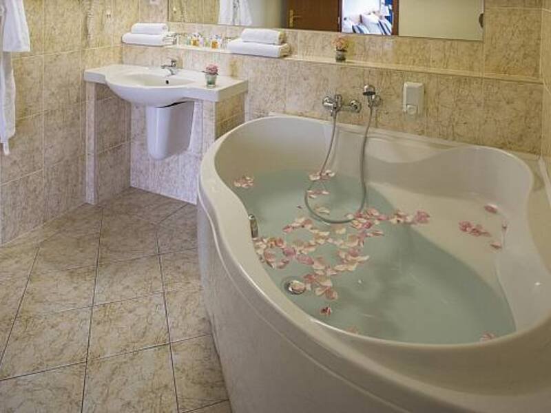 Wellness pobyt v Top Hotelu Praha **** s polopenzí