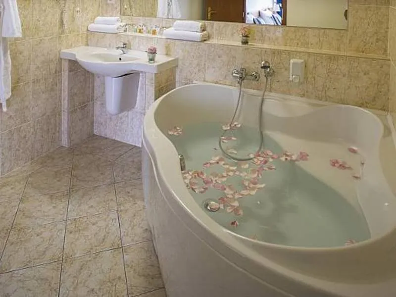 Wellness pobyt v Top Hotelu Praha **** s polopenzí