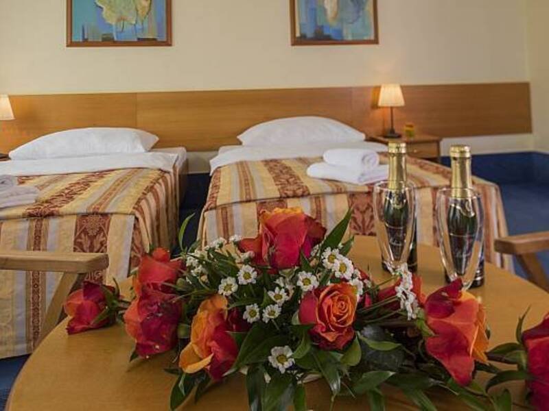 Wellness pobyt v Top Hotelu Praha **** s polopenzí