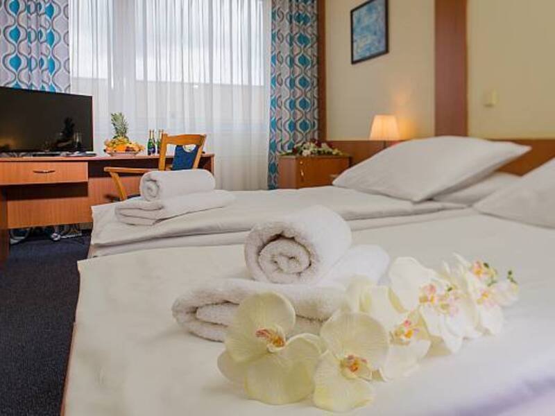 Wellness pobyt v Top Hotelu Praha **** s polopenzí