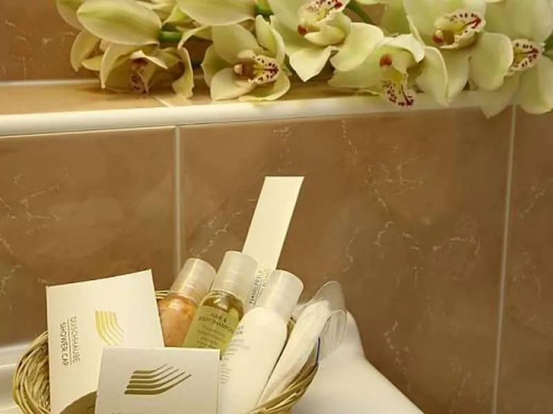 Wellness pobyt v Top Hotelu Praha **** s polopenzí