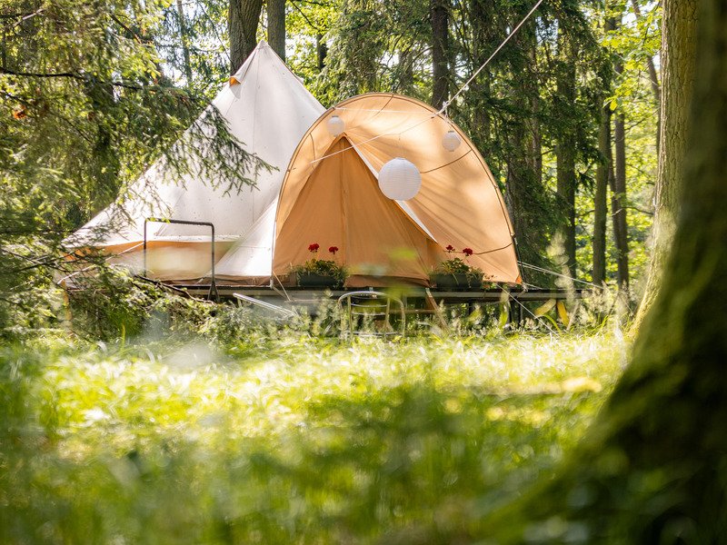 Glamping v Černické oboře