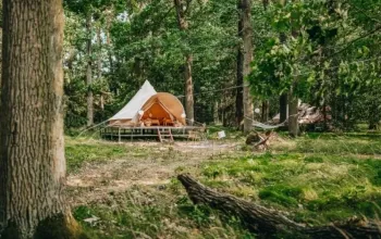 Glamping v Černické oboře