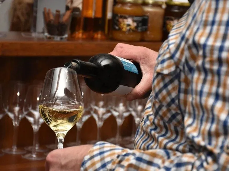 Řízená degustace ve vinném sklípku