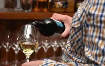 Řízená degustace ve vinném sklípku – dárek a zážitek