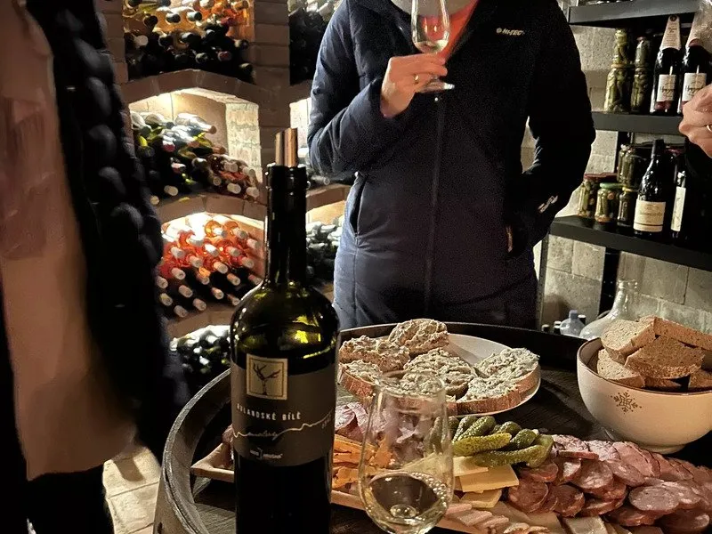 Řízená degustace ve vinném sklípku