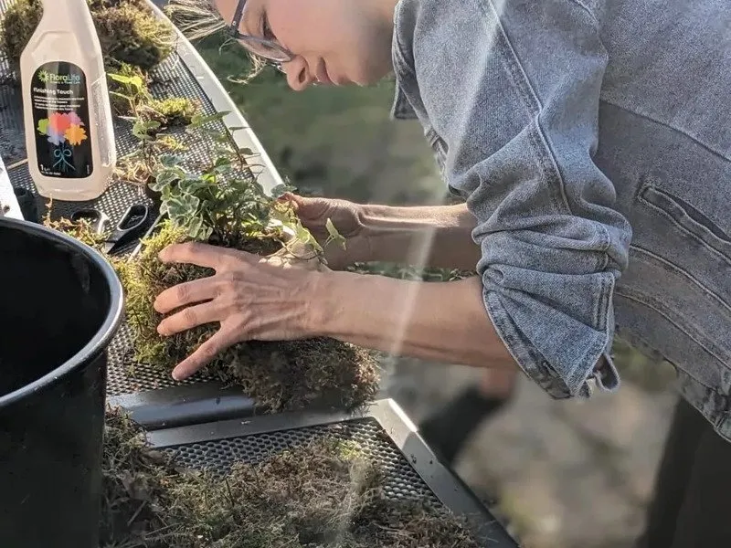 Oblíbený kreativní kurz: Výroba kokedamy v Praze