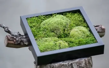 Kreativní kurz: Výroba mechových obrazů v Praze Kreativní kurz: Výroba mechových obrazů v Praze – dárek a zážitek