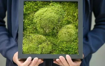 Kreativní kurz: Výroba mechových obrazů v Praze