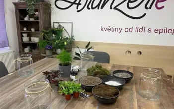 Kreativní workshop v Praze: Zahrada v lahvi
