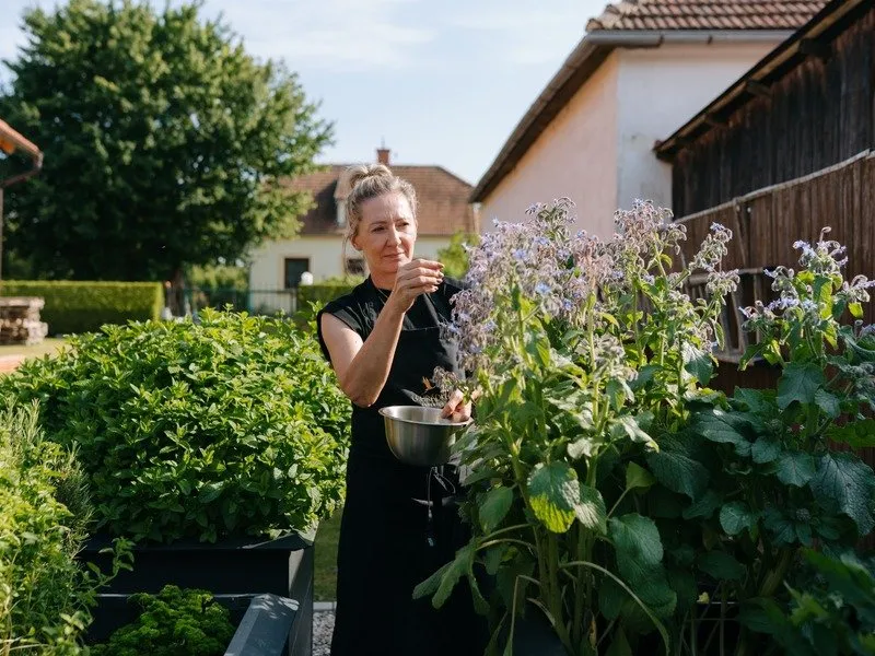 Wellness pobyt pro ženy na jižní Moravě