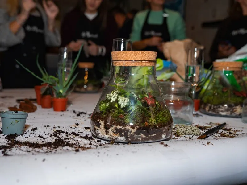 Kreativní workshop: Výroba mechárií