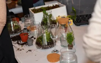 Kreativní workshop: Výroba mechárií