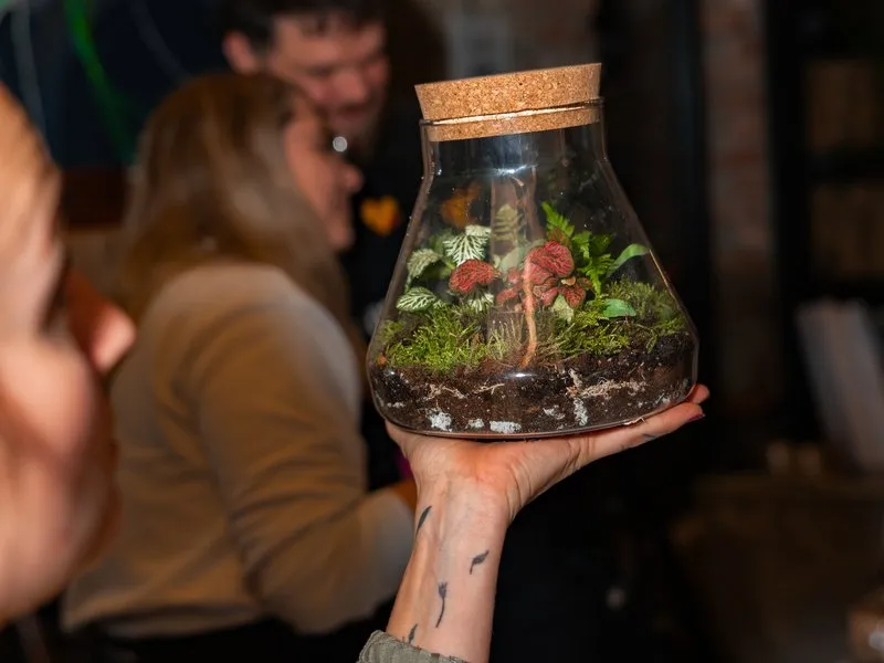Kreativní workshop: Výroba mechárií