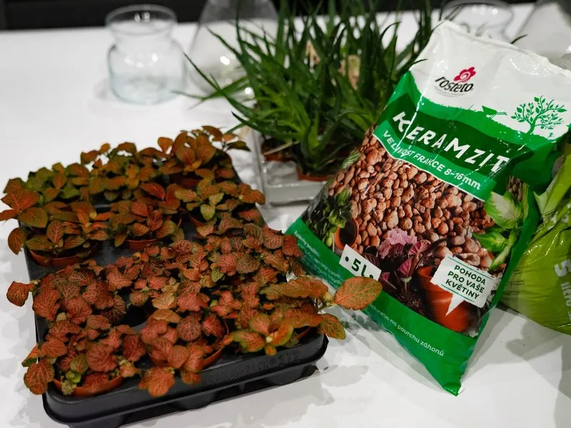 Kreativní workshop: Výroba mechárií