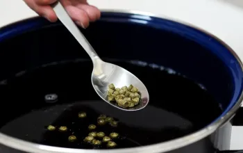 Sada na výrobu svrchně kvašeného piva IPA