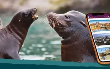 Venkovní únikovka v Zoo Lešná: Až 6 hráčů Venkovní únikovka v Zoo Lešná: Až 6 hráčů – dárek a zážitek