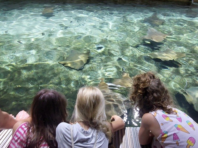 Venkovní únikovka v Zoo Lešná: Až 6 hráčů