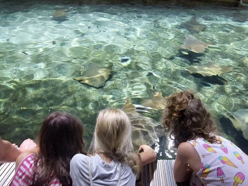 Venkovní únikovka v Zoo Lešná: Až 6 hráčů