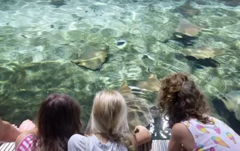 Venkovní únikovka v Zoo Lešná: Až 6 hráčů
