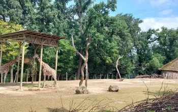 Venkovní únikovka v Zoo Lešná: Až 6 hráčů