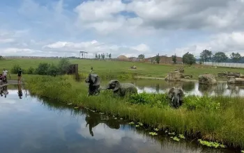 Venkovní únikovka v Zoo Lešná: Až 6 hráčů
