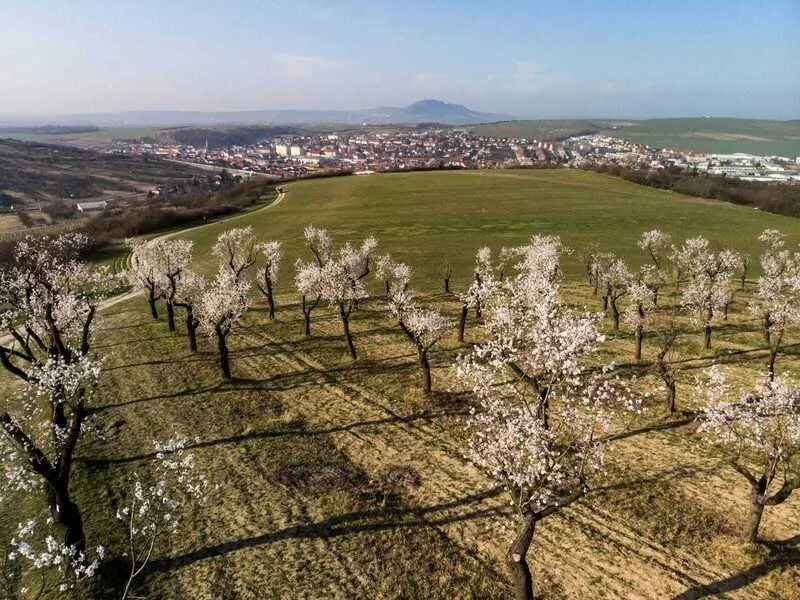 Pobytový balíček hotelu Wine Wellness Hotel Amande: Jsem na dovolené