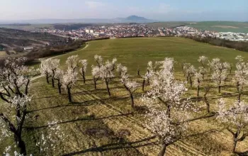 Pobytový balíček hotelu Wine Wellness Hotel Amande: Jsem na dovolené Pobytový balíček hotelu Wine Wellness Hotel Amande: Jsem na dovolené – dárek a zážitek
