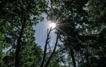 Romantická noc na zámku se snídaní a proseccem