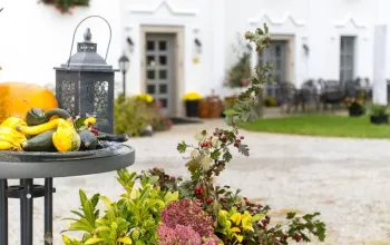 Romantická noc na zámku se snídaní, degustační večeří a proseccem