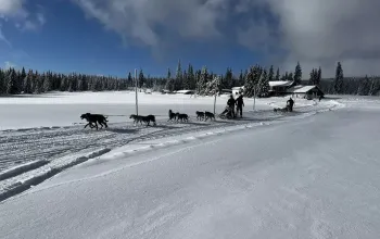 Mushing - jízda se psím spřežením