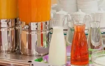 Pobyt pro dva ve Vídni se snídaní a wellness