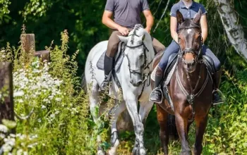 Wellness pobyt pro dva u Krakova s přírodou a koňmi