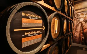 Interaktivní cesta světem slivovice s 5D zážitkem a degustací
