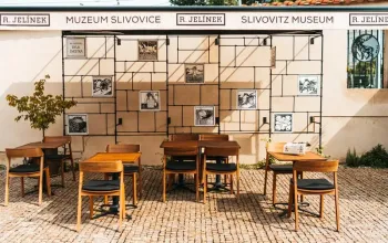 Interaktivní cesta světem slivovice s 5D zážitkem a degustací