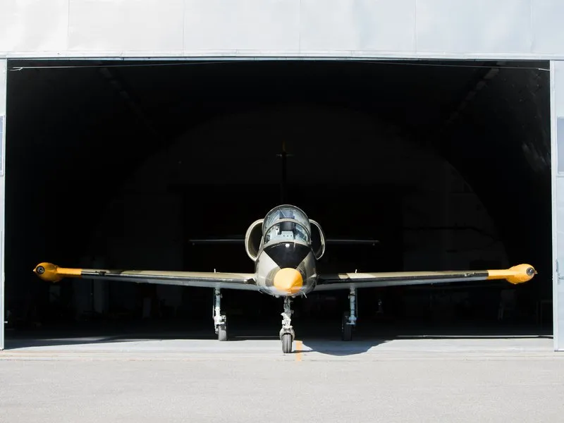 Let stíhačkou L-39 Albatros