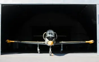 Let stíhačkou L-39 Albatros