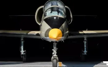 Let stíhačkou L-39 Albatros