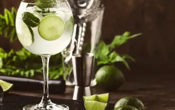 Degustace ginu + párování s tonikem – dárek a zážitek