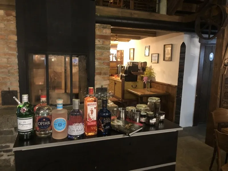 Degustace ginu + párování s tonikem
