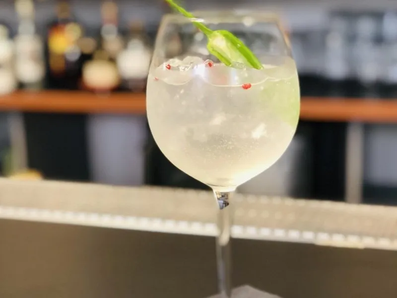 Degustace ginu + párování s tonikem