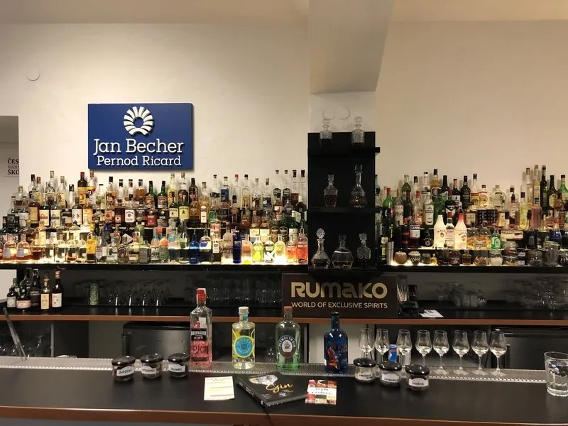 Degustace ginu + párování s tonikem