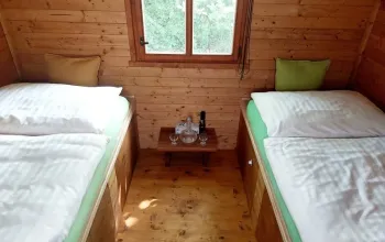 Pobyt u včel v Apidomku