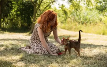 Zážitkové focení oslavy narozenin nebo rozlučky
