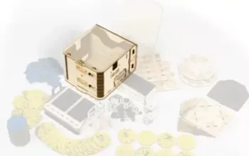 Wilderness: Strategická desková hra pro 2 (až 4 hráče)