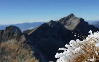 Vysoké Tatry: Výstup na Furkotský štít s horským průvodcem