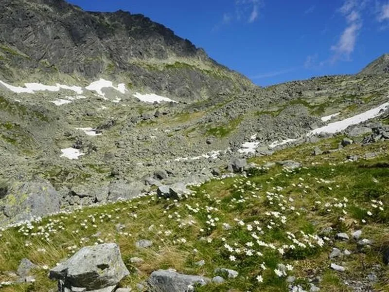 Vysoké Tatry: Výstup na Furkotský štít s horským průvodcem