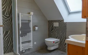 Ošetřovatelem v zoo na jeden den + nocování | zážitkový poukaz