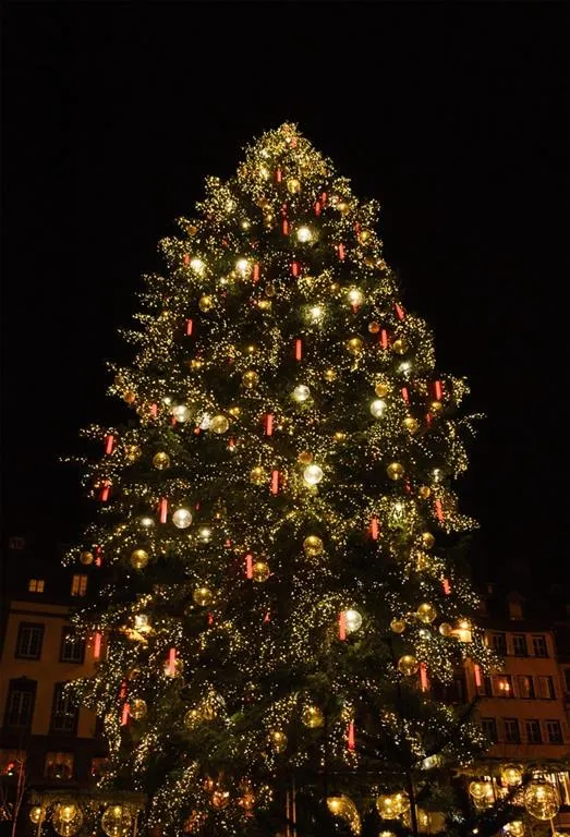 Adventní trhy ve francouzském Štrasburku
