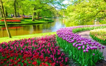 Květinový park Keukenhof s návštěvou Amsterdamu